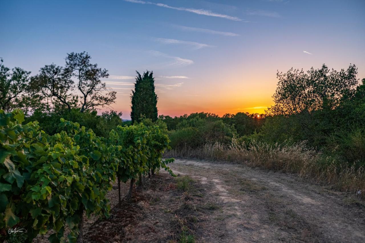 Отель Cerise Carcassonne Sud Экстерьер фото