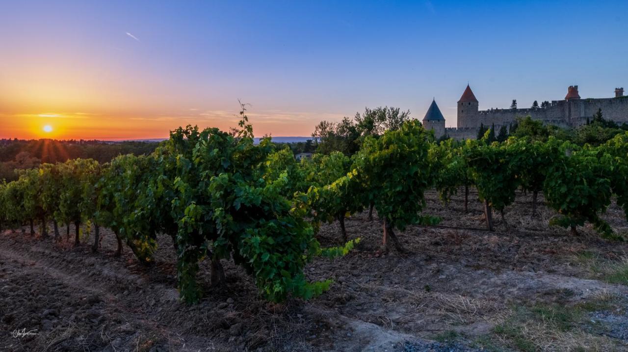 Отель Cerise Carcassonne Sud Экстерьер фото
