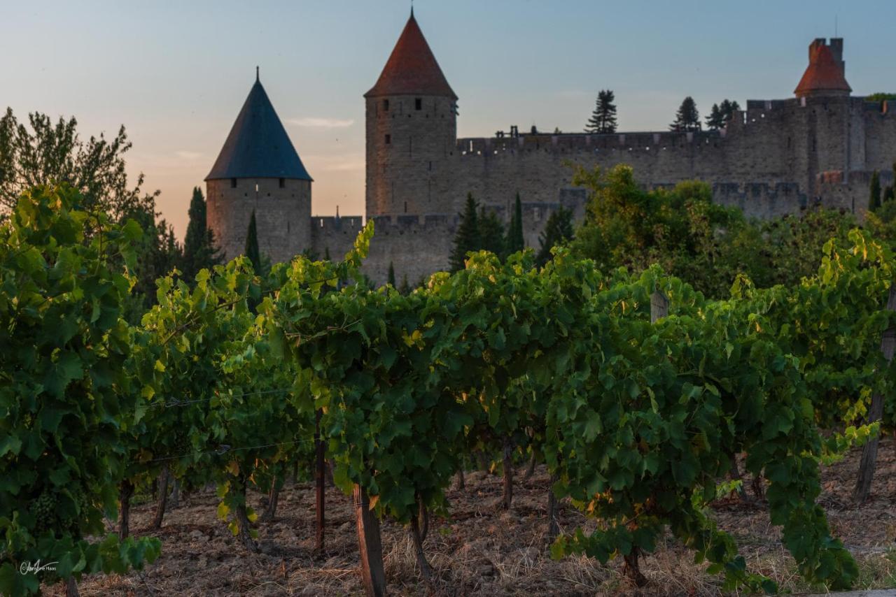 Отель Cerise Carcassonne Sud Экстерьер фото